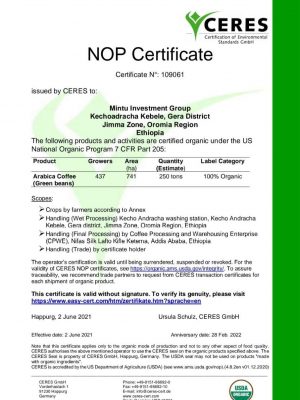 Mintu coffee organic certificate photo